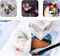 3 Packs Real Natural Dried Flowers for Making Mobile Phone Case Candle Handmade Crafts Epoxy Resin Pendant Necklace Jewelry DIY Accessories